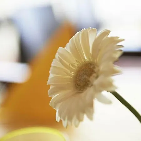 Ghotel & Living Muenchen-city München