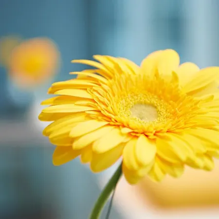 Ghotel & Living Muenchen-city 3* München